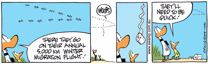 Swamp Cartoon - Ding Duck Migration ComicOctober 24, 2018