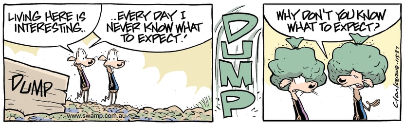 Swamp Cartoon - Swamp Rats Expect ComicDecember 19, 2018