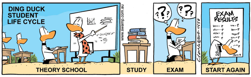 Swamp Cartoon - Ding Duck Student Life CycleMay 11, 2019
