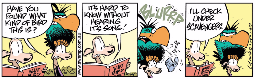 Swamp Cartoon - Bludgerigar ScavengerJune 15, 2019