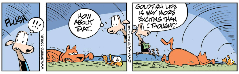 Swamp Cartoon - Goldfish Exciting LifeJuly 1, 2019