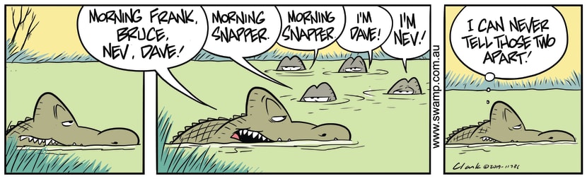 Swamp Cartoon - Good Morning SnapperAugust 9, 2019