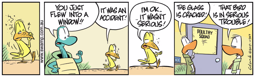 Turtle sees a bird whose injured from flying into glass window at Poultry Squad's office. Swamp Cartoon - Bird in Serious TroubleAugust 22, 2019