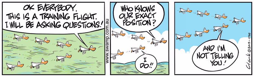 Aviator Ducks are flying on training flight and their trainer is asking who knows their position. Swamp Cartoon - Aviator Ducks Training FlightAugust 24, 2019