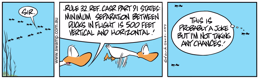 Flight leader of aviator ducks decides to apply minimum separation of 500 feet, horizontally and vertically. Swamp Cartoon - Aviator Ducks Minimum SeparationAugust 29, 2019