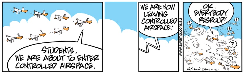 Swamp Cartoon - Aviator Ducks Controlled Air SpaceSeptember 7, 2019