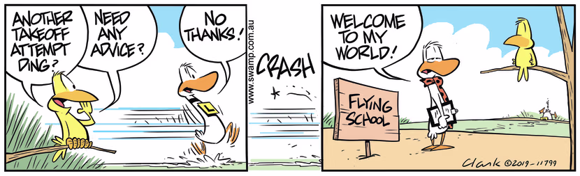 Bird offers flying advice as Ding Duck prepares to take-off but he declines to accept. Swamp Cartoon - Bird Offers Advice to DingOctober 22, 2019