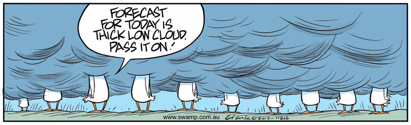 The weather forecast today is for low, thick clouds so Aviator Ducks are grounded. Swamp Cartoon - Ducks in Low Thick CloudsOctober 25, 2019