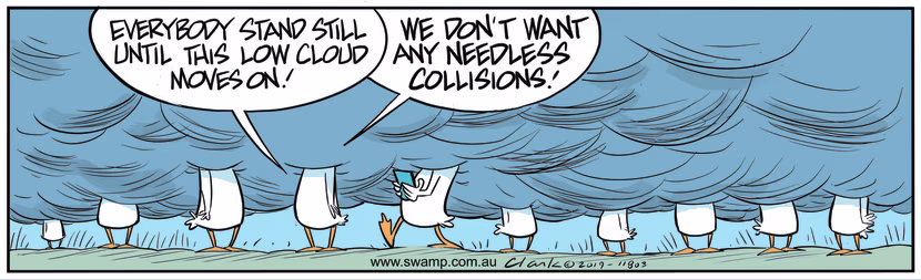 Aviator Ducks stand still in low, thick cloud waiting for it to clear to avoid a collision. Swamp Cartoon - Aviator Ducks Stand StillOctober 26, 2019