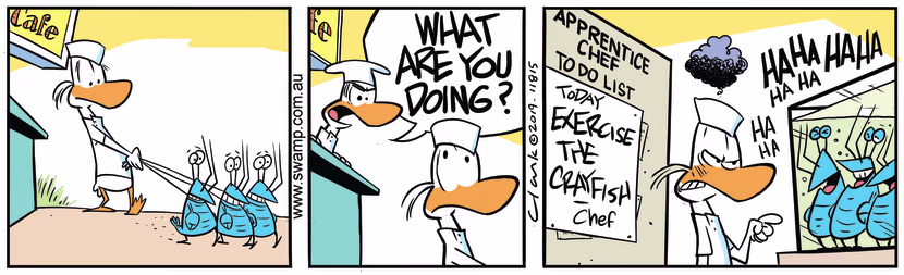 Apprentice Chef sees note from Chef to exercise the crayfish so he takes them for a walk. Swamp Cartoon - Time to Walk CrayfishNovember 9, 2019