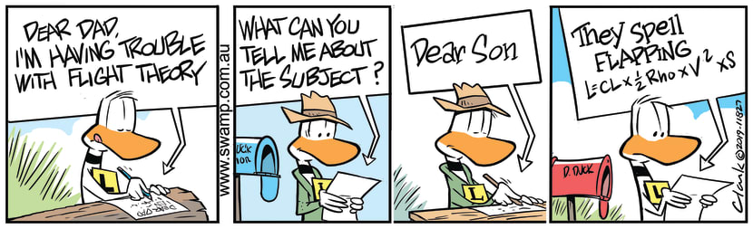 Swamp Cartoon - Ding Duck Seeking AdviceNovember 21, 2019