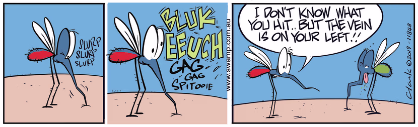 A blood sucking mosquito is giving advice to another mosquito where to locate vein on human. Swamp Cartoon - Blood Sucking MosquitoesDecember 17, 2019