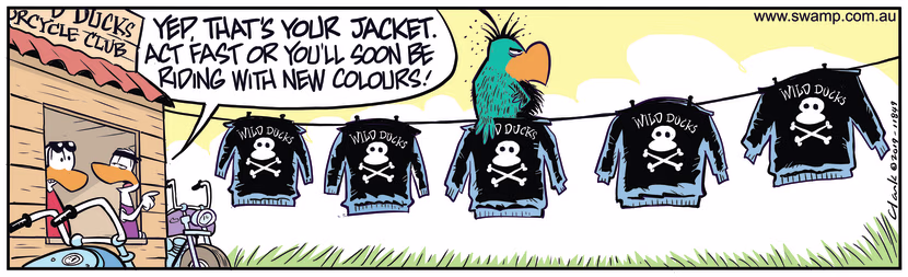 Bludgerigar is perched on washing line where the Wild Ducks have their jackets hanging to dry. Swamp Cartoon - Bludgerigar on Washing LineDecember 18, 2019