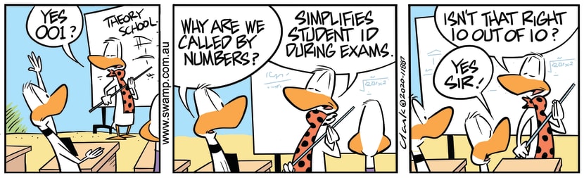 Swamp Cartoon - Flying Students Called by NumbersFebruary 4, 2020