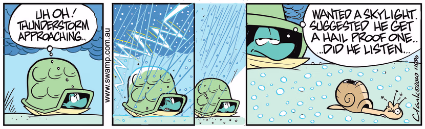 Turtle and Snail are out in the elements when there is a thunderstorm approaching. Swamp Cartoon - Turtle and Snail Thunderstorm ApproachingFebruary 7, 2020