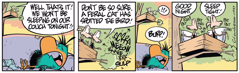 Cheese & Chives Rats see a feral cat stalking the Bludgerigar Bird while he's asleep. Swamp Cartoon - Feral Cat on the HuntApril 3, 2020