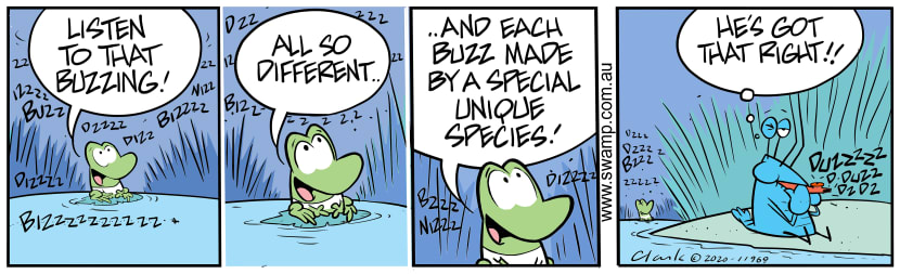 Mort Frog is enjoying sounds of the night as each species has its own special buzz. Swamp Cartoon - Sounds of the NightMay 11, 2020