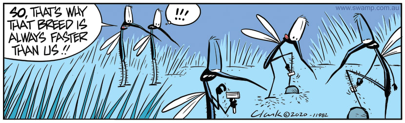 Two mosquitoes discover secret technique why another breed is always faster than them. Swamp Cartoon - Fast Mosquito BreedMay 26, 2020