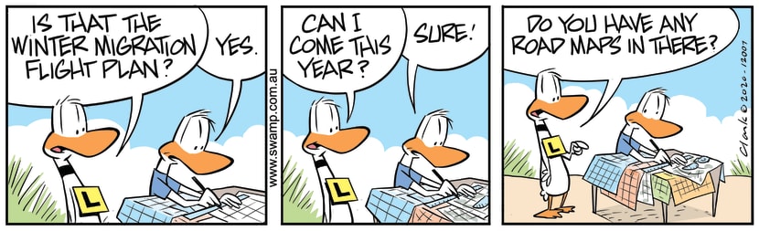 Swamp Cartoon - Ding Duck Road MapsJune 24, 2020