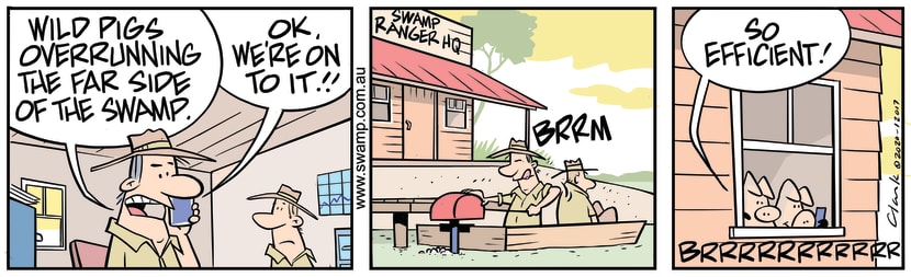 Park Rangers have been advised wild pigs are overrunning the far side of the swamp. Swamp Cartoon - Wild Pigs Running AmokJuly 6, 2020