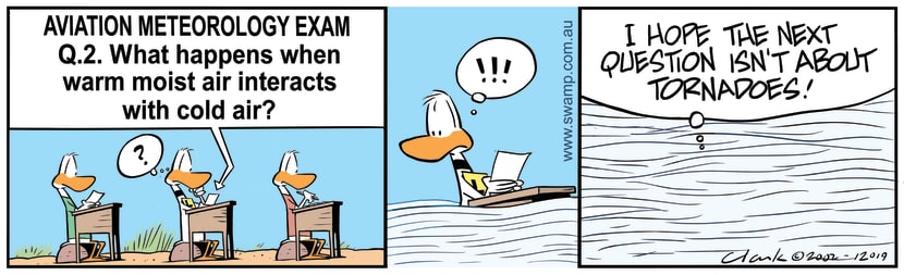 Ding Duck is sitting for aviation meteorology exam and a question is about warm and cold air. Swamp Cartoon - Warm Moist Air Meets Cool AirJuly 8, 2020