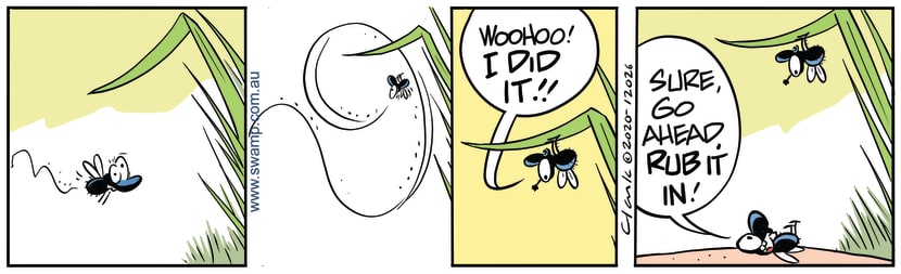Fly nails landing on the underside of the leaf while another one was not so successful. Swamp Cartoon - Fly Nails LandingJuly 10, 2020