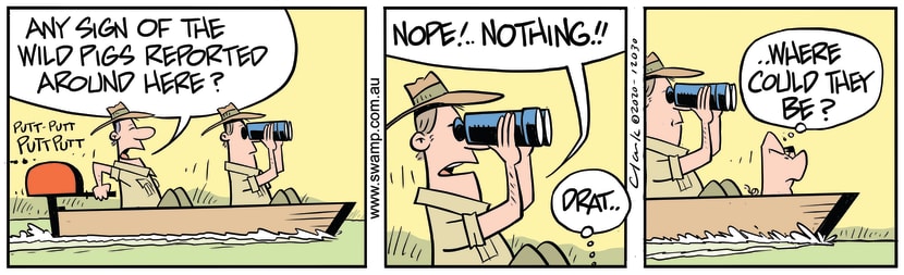 In their boat, the Park Rangers are searching the swamp for any sign of wild pigs. Swamp Cartoon - Any Sign of Wild PigsJuly 21, 2020