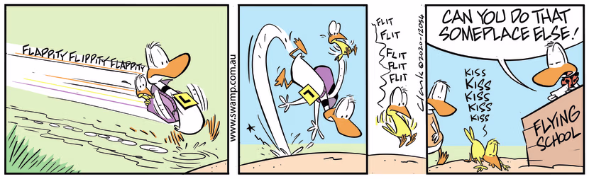 Ding Duck manages to crash right in front of his Flight Instructor annoying him no end. Swamp Cartoon - How to Annoy Flight InstructorAugust 20, 2020