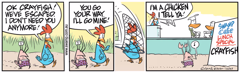 Now that they have escaped, Chicken declares he no longer needs Bob Crayfish or so he thinks. Swamp Cartoon - Bob Crayfish Not NeededSeptember 4, 2020