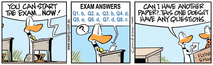 Swamp Cartoon - Ding Duck Start Exam NowSeptember 19, 2020