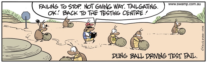 Swamp Cartoon - Dung Beetles Driving TestOctober 17, 2020