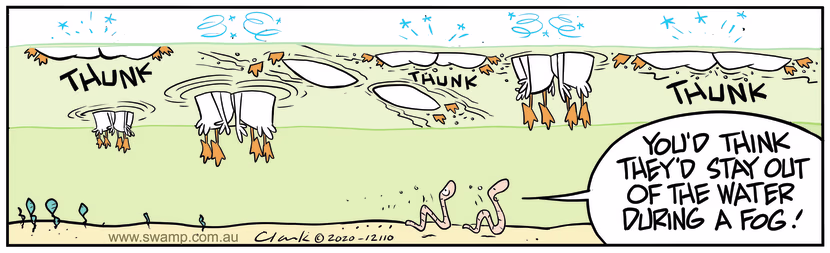 Swamp Cartoon - Swamp Ducks Encounter FogOctober 23, 2020