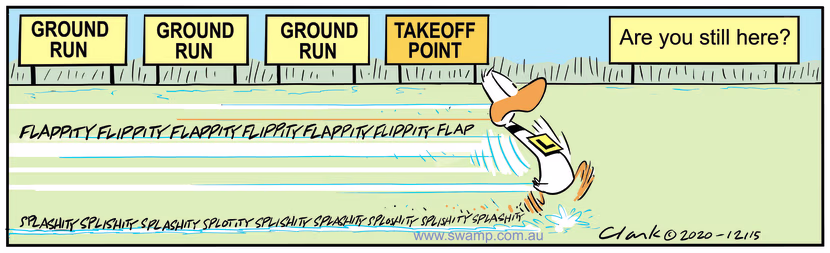 In his bid to take-off Ding Duck is racing down the runway and is fast approaching take-off point. Swamp Cartoon - Ding Duck Take-off PointOctober 28, 2020