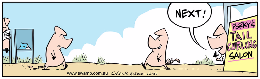 The pigs are waiting to enter Porky's Tail Curling Salon to get their straight tails curled. Swamp Cartoon - Tail Curling SalonNovember 12, 2020