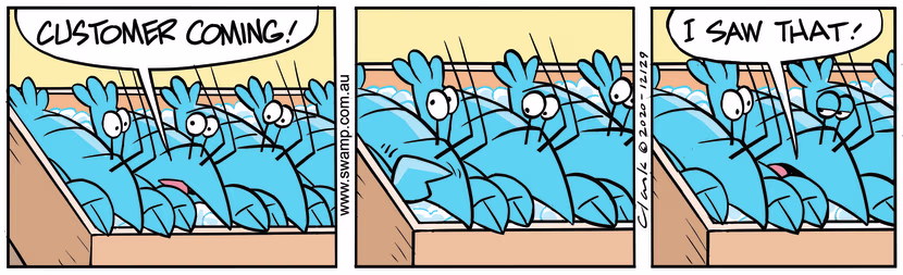 Swamp Cartoon - Crayfish See Customer ComingNovember 13, 2020