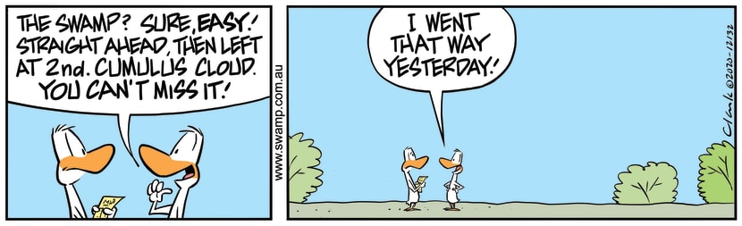 Swamp Cartoon - Aviator Duck DirectionsNovember 17, 2020