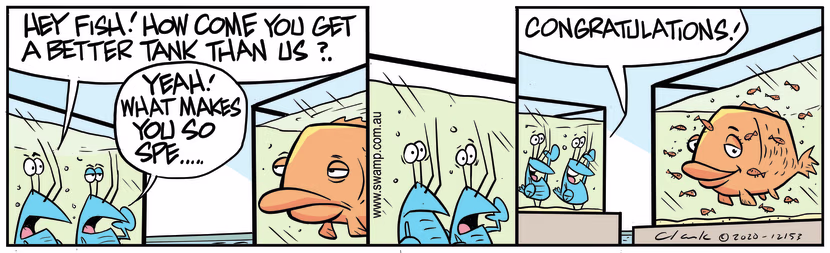 Bob Crayfish is complaining to the big fish about why it got such a big aquarium. Swamp Cartoon - Bob Crayfish ComplainsJune 12, 2024