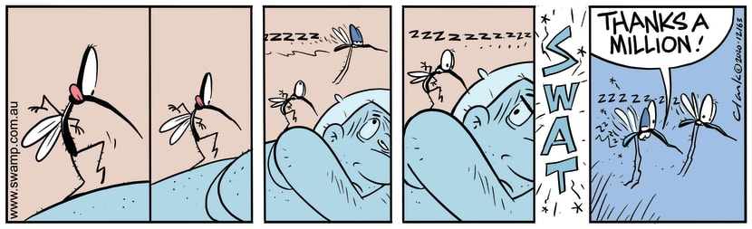 Mosquito is tip toeing on human to sneak up and bite him but his plan goes awry. Swamp Cartoon - Mosquito Tip ToeingDecember 23, 2020