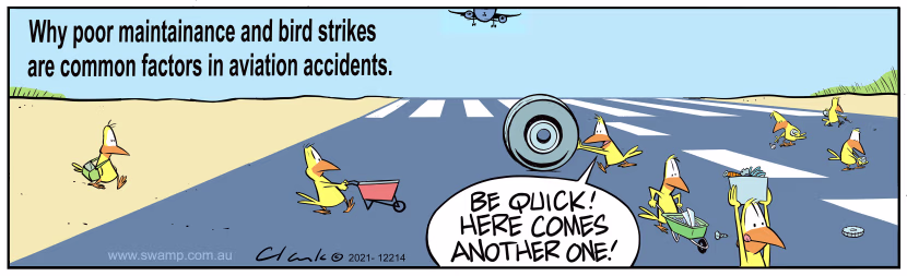 Why poor maintenance and bird strikes are common factors in aviation accidents. Swamp Cartoon - Aircraft Poor MaintenanceAugust 7, 2024