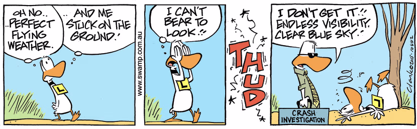 It's perfect flying weather and Ding Duck can't bear to look but what happens next sees him answering questions from Air Crash Investigator. Swamp Cartoon - It’s Perfect Flying WeatherFebruary 28, 2022