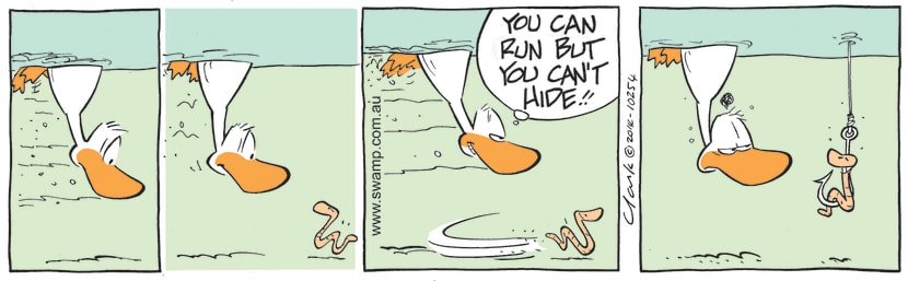Swamp Duck is chasing worm under water threatening, 'You can run but you can't hide!' until the worm wraps himself around a fishing hook. Swamp Cartoon - Swamp Duck is Chasing WormNovember 4, 2021