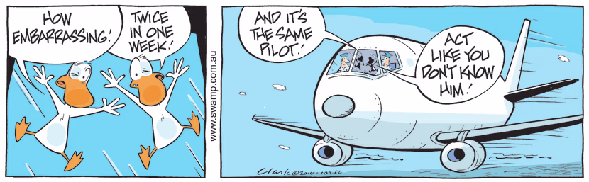 Aviator Ducks are embarrassed as this is second time this week they have committed bird strike. Swamp Cartoon - Aviator Ducks are EmbarrassedNovember 8, 2021