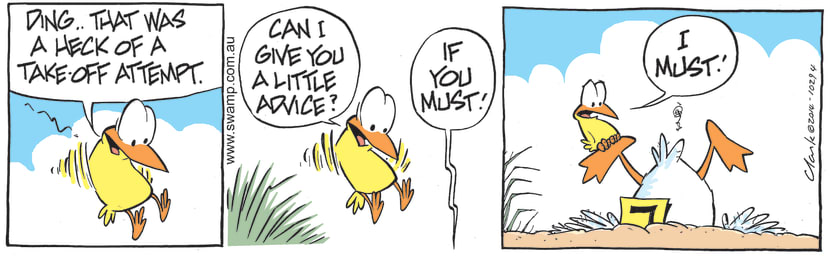 Bird was viewing Ding Duck's take-off attempt and is keen to offer his advice even though Ding isn't enthusiastic to hear it. Swamp Cartoon - Ding Duck’s Take-off AttemptDecember 1, 2021