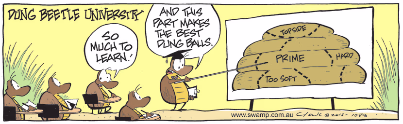 At Dung Beetle University, the dung beetles are learning all the aspects of a cowpat and there's a lot to take in. Swamp Cartoon - Dung Beetle UniversityDecember 17, 2021