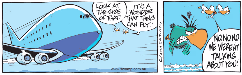 Aviator Ducks are surprised at the size of the aircraft flying past them and one declares it's a wonder that thing can fly. Swamp Cartoon - Aviator Ducks are SurprisedDecember 23, 2021