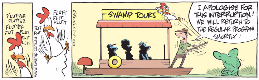 Tour Boat Operator is about to commence croc feeding session but the chicken doesn't want to co-operate. Swamp Cartoon - Commence Croc Feeding SessionDecember 29, 2021