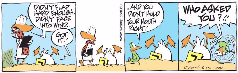 In delivering his evaluation on why Ding Duck crashed, the Flying Scchool Instructor said he didn't flap hard enough and didn't face into wind. Swamp Cartoon - Didn’t Flap Hard EnoughJanuary 24, 2022