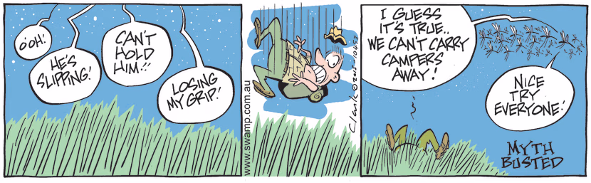 There's an urban myth that the mosquitoes in the Swamp are so big they can carry a camper away. Swamp Cartoon - Carry A Camper AwayMarch 7, 2022