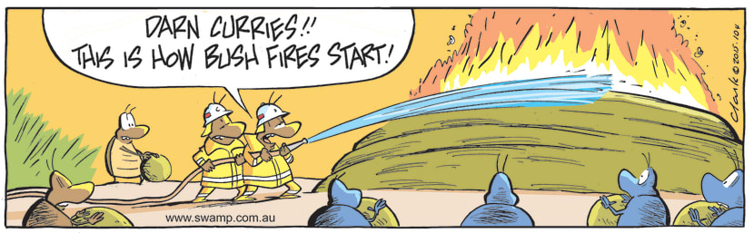 Swamp Cartoon - Bush Fire Fighting Dung BeetlesMarch 21, 2022