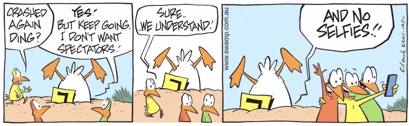 Bird and his mate sees Ding Duck has crashed again and from his face plant position Ding tells Bird to move on and don't be spectators. Swamp Cartoon - Face Plant PositionApril 2, 2022